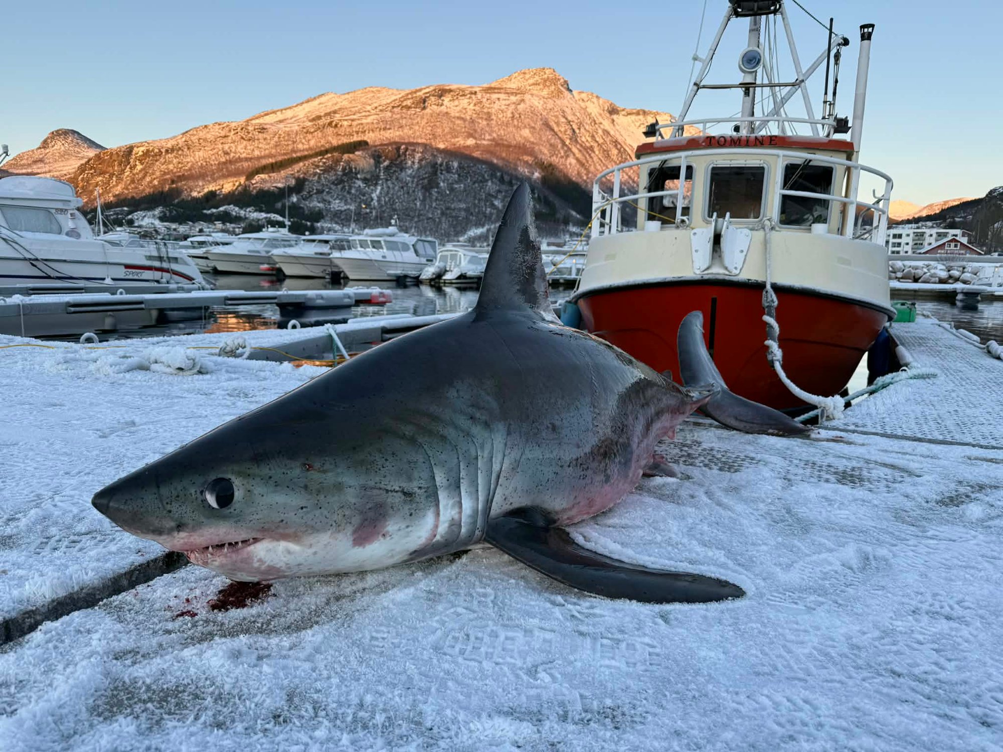 Bernt dro i land en skikkelig storfangst: – Et beist