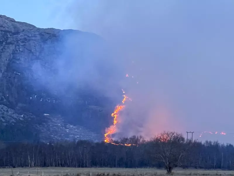 Terrengbrannen i Ørland gikk mot bebyggelse – flere husstander evakuert i natt