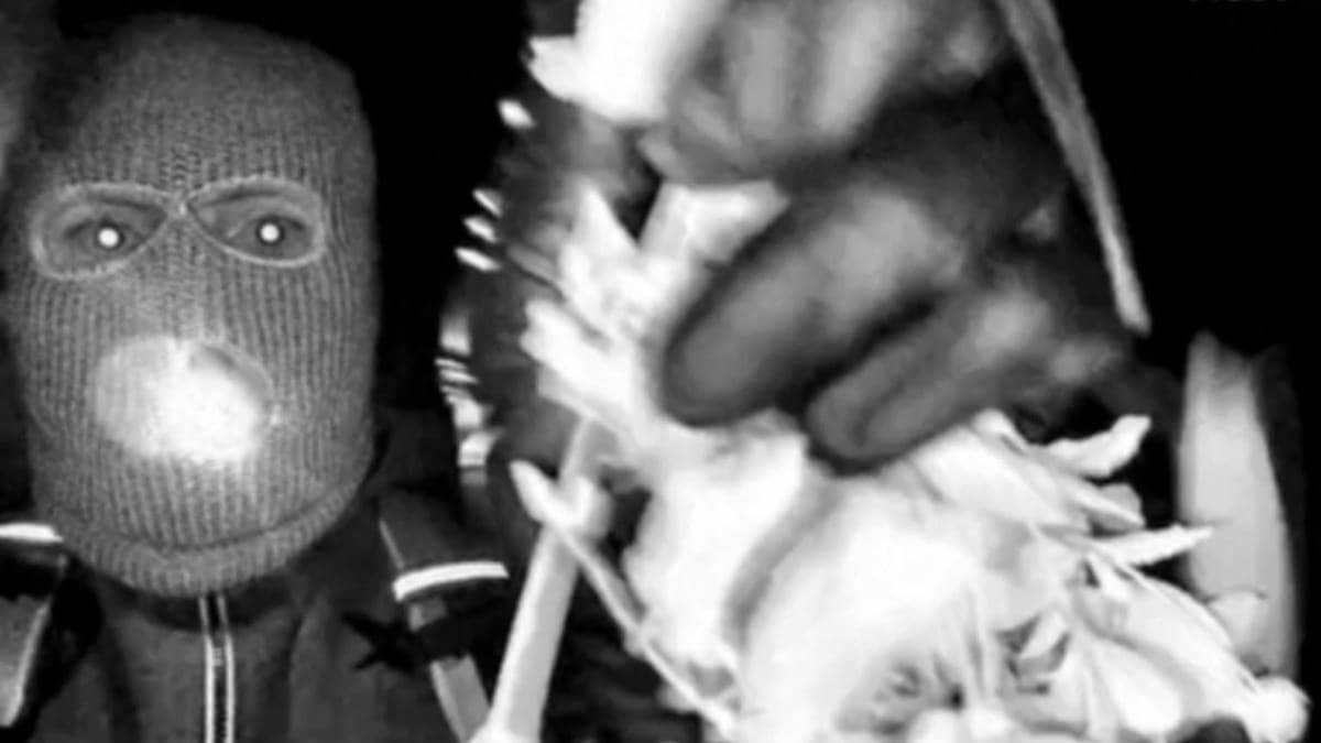 Nancy Guthrie (84) bortført frå heimen sin – FBI offentleggjer overvakingsbilete