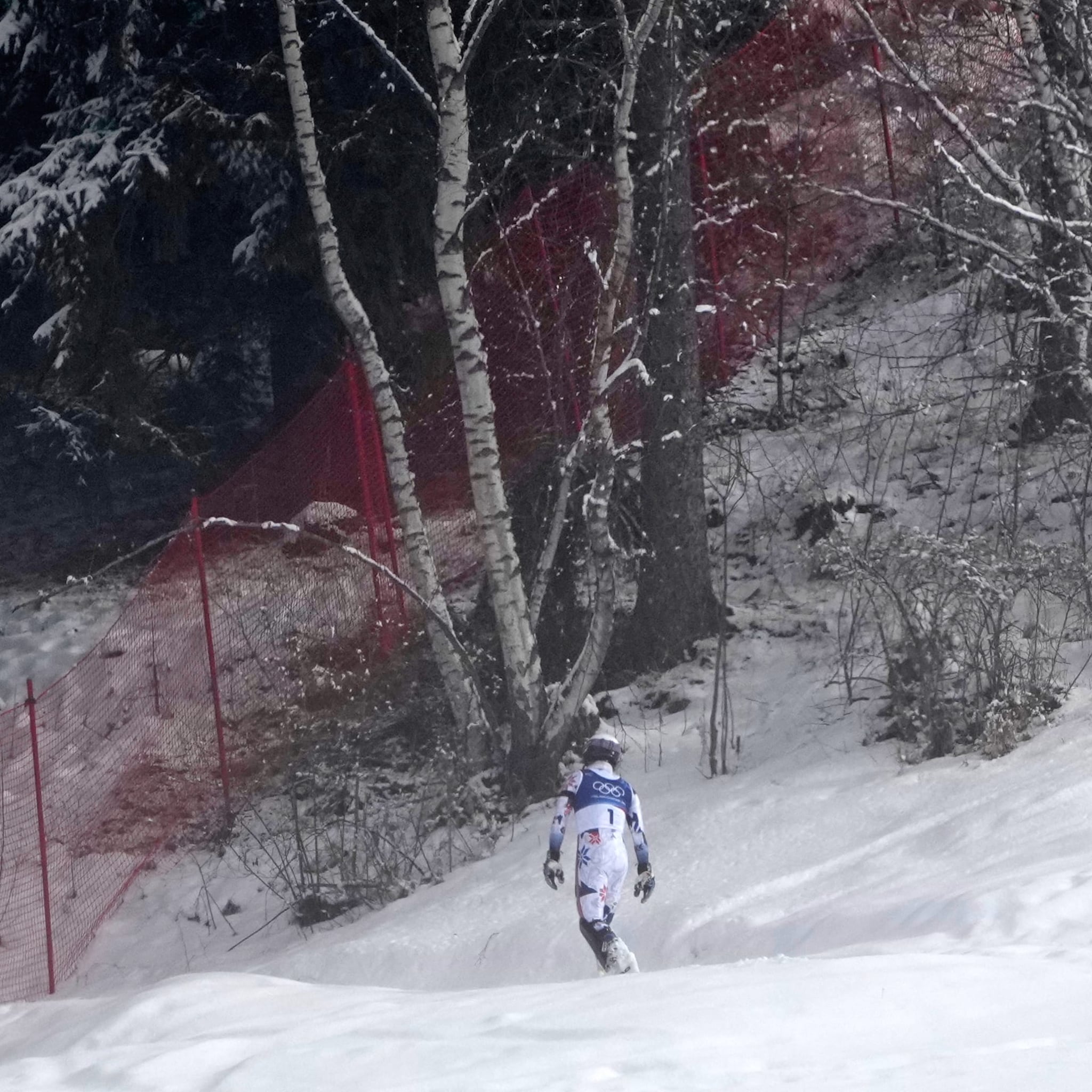 Forklarer bildene: – Hva kan jeg gjøre?