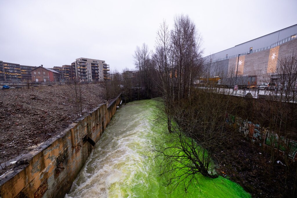Her blir elva grønn: – Veldig spennende