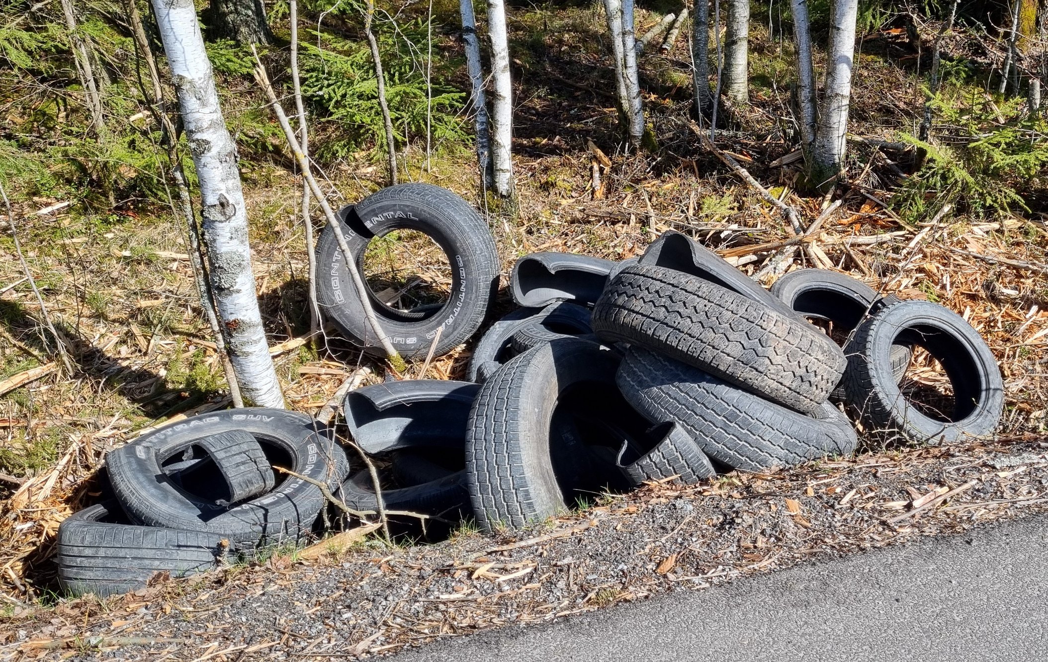 Dette synet fikk Arve til å reagere kraftig