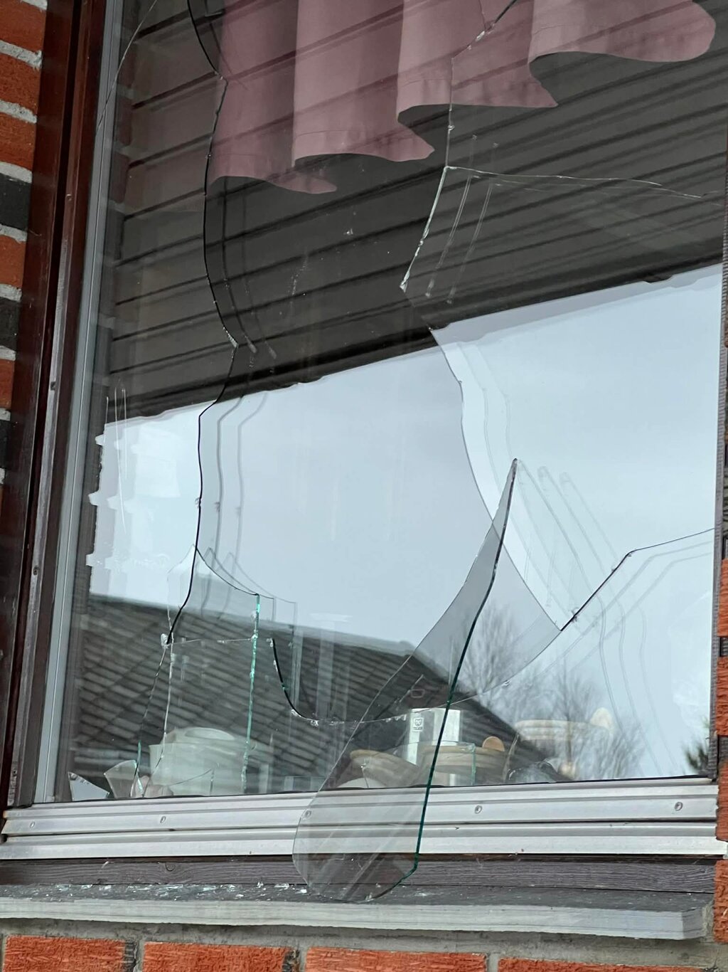 Gitte fikk seg en overraskelse: En hauk knuste kjøkkenruta!