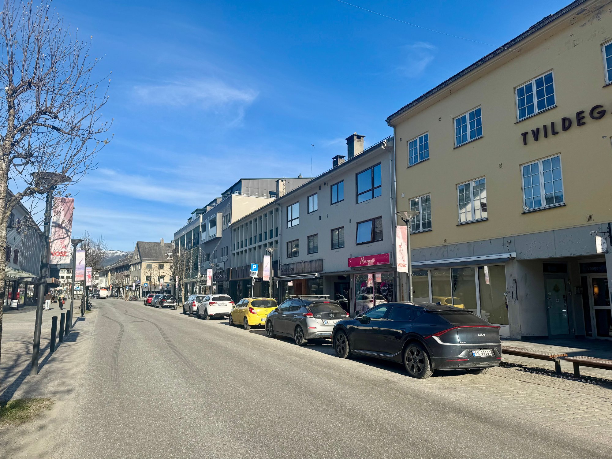 Ynskjer tips etter tagging på Vangen