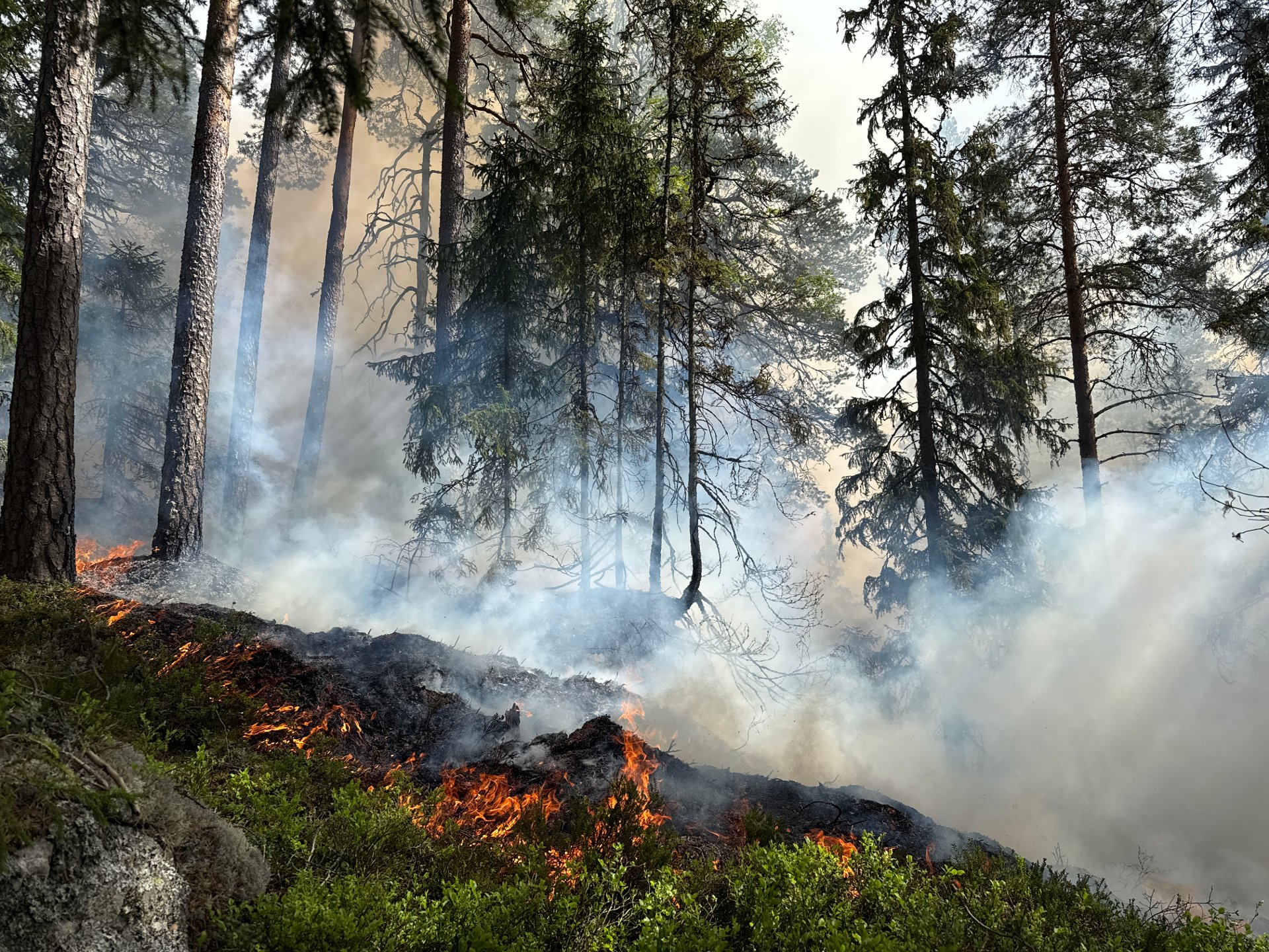 Varsler om naturvernbrenning