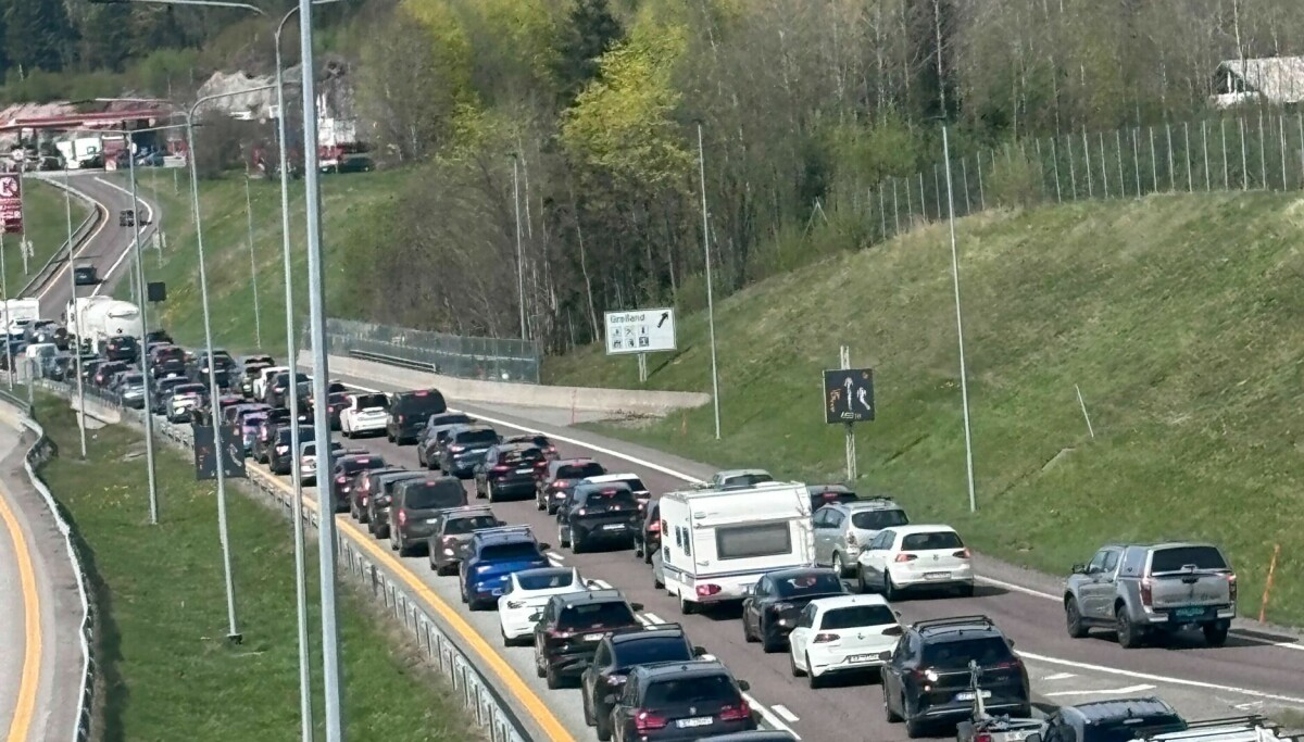- Elleville køer