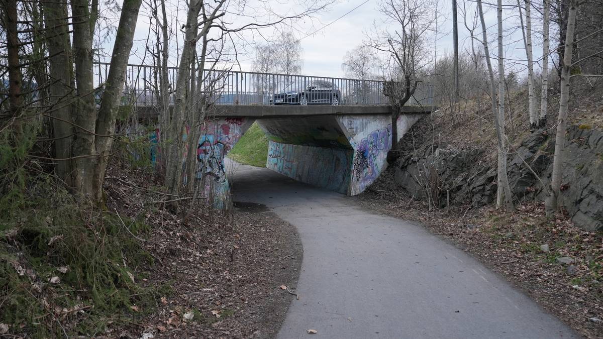 Overfallene i Oslo-området: Utvider siktelsen igjen