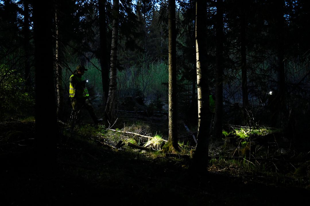 Han fant toåringen i skogen: - Klamret seg fast som en koala