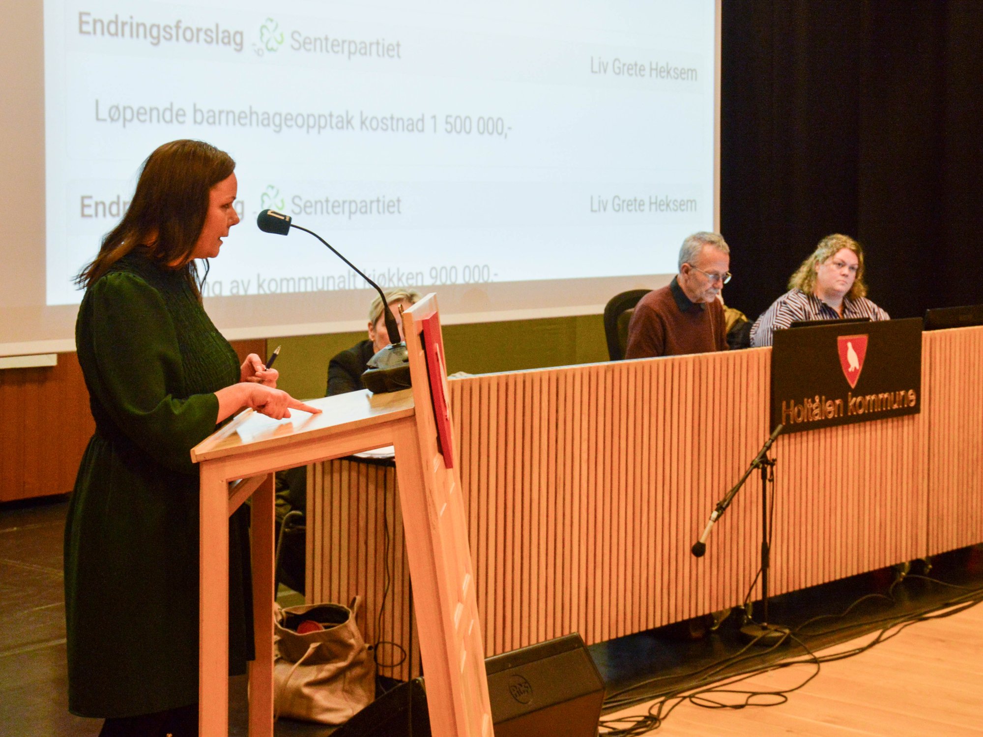 Budsjett Holtålen: Varaordfører ville kutte HR-stilling 