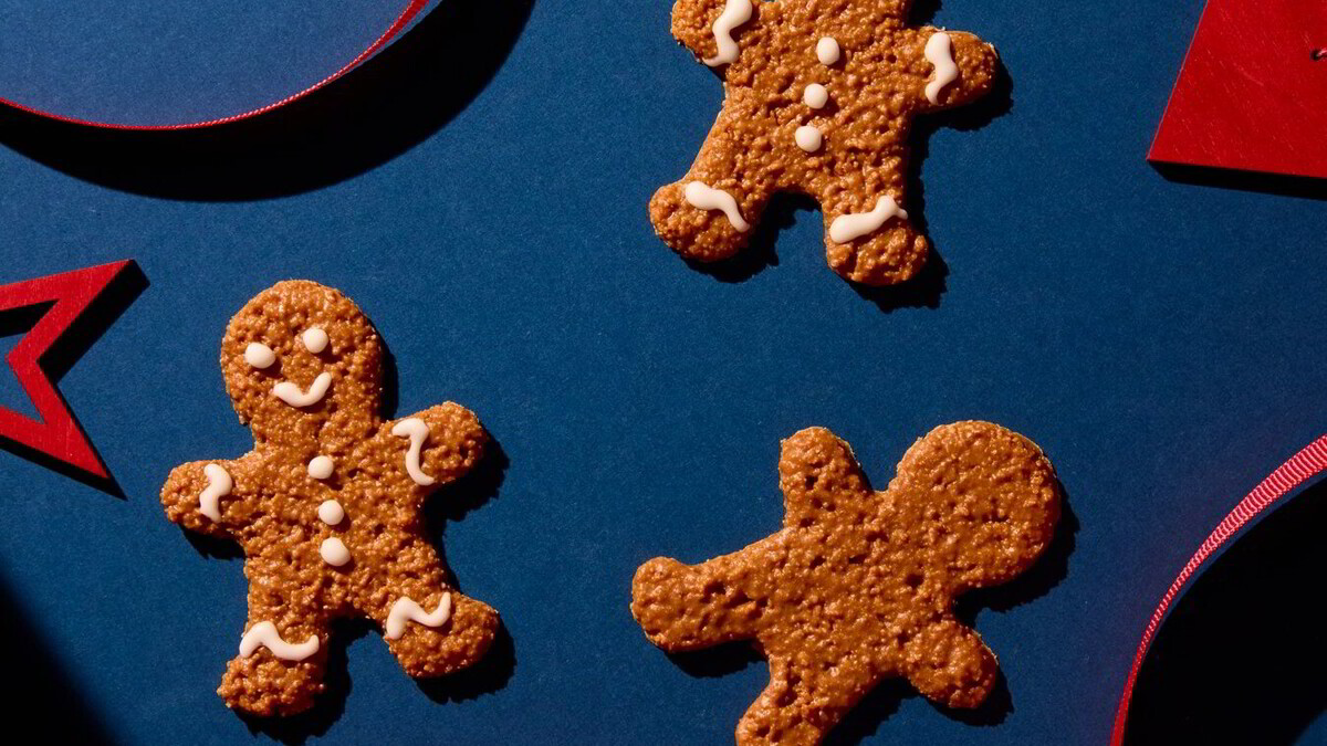 – Kjør pepperkakene i prosessor, bland med smeltet sjokolade