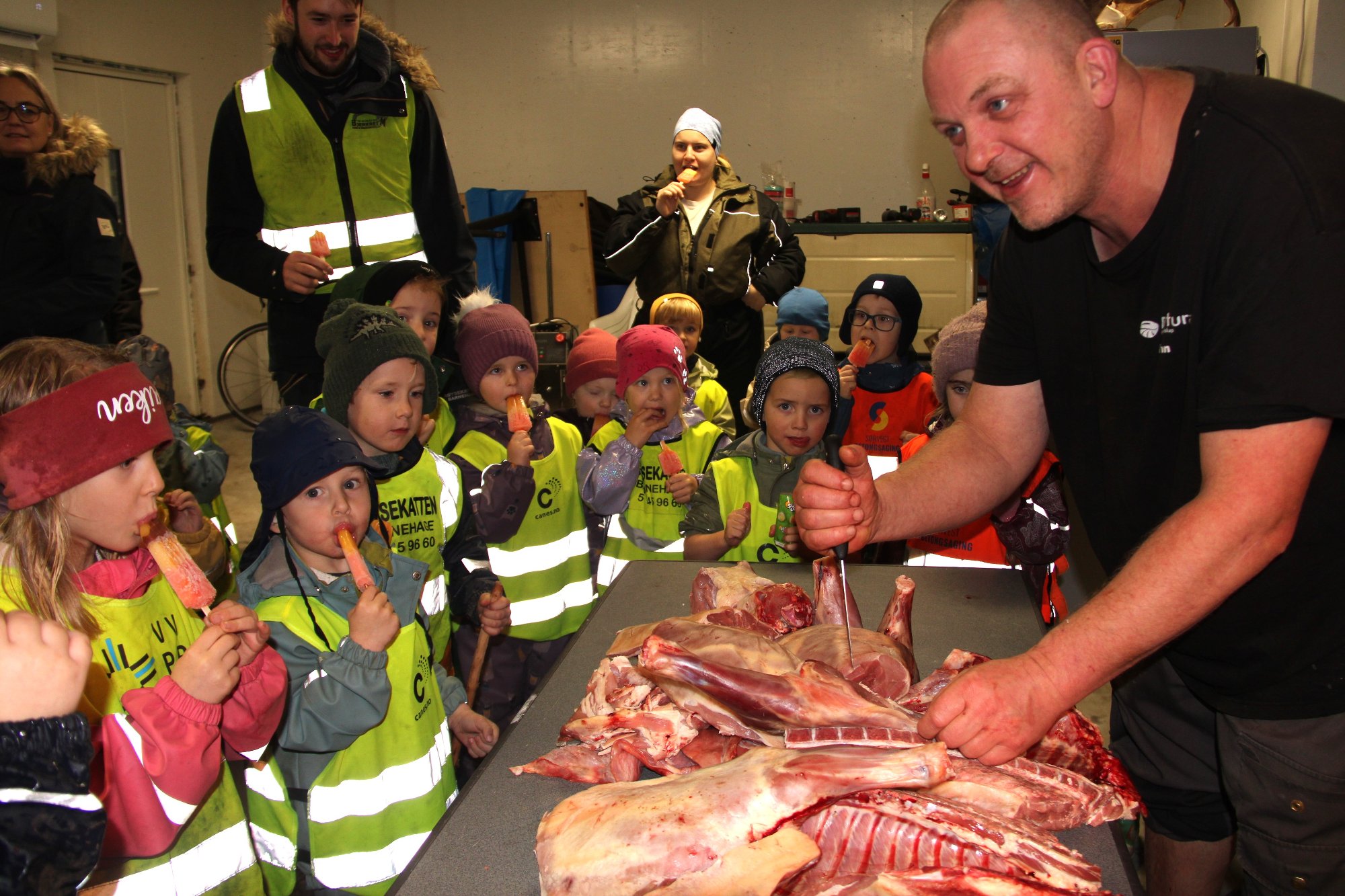 Slaktetid i barnehagen: Halvar fann holet der øyremerket hadde vore