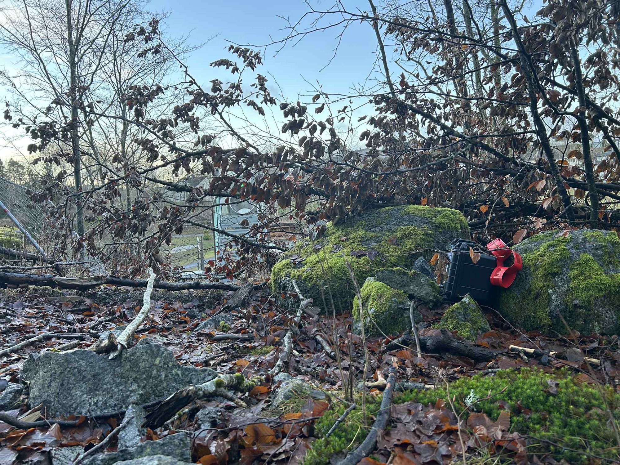 Velfortjent seier: – Det må vel være tidenes raskeste?