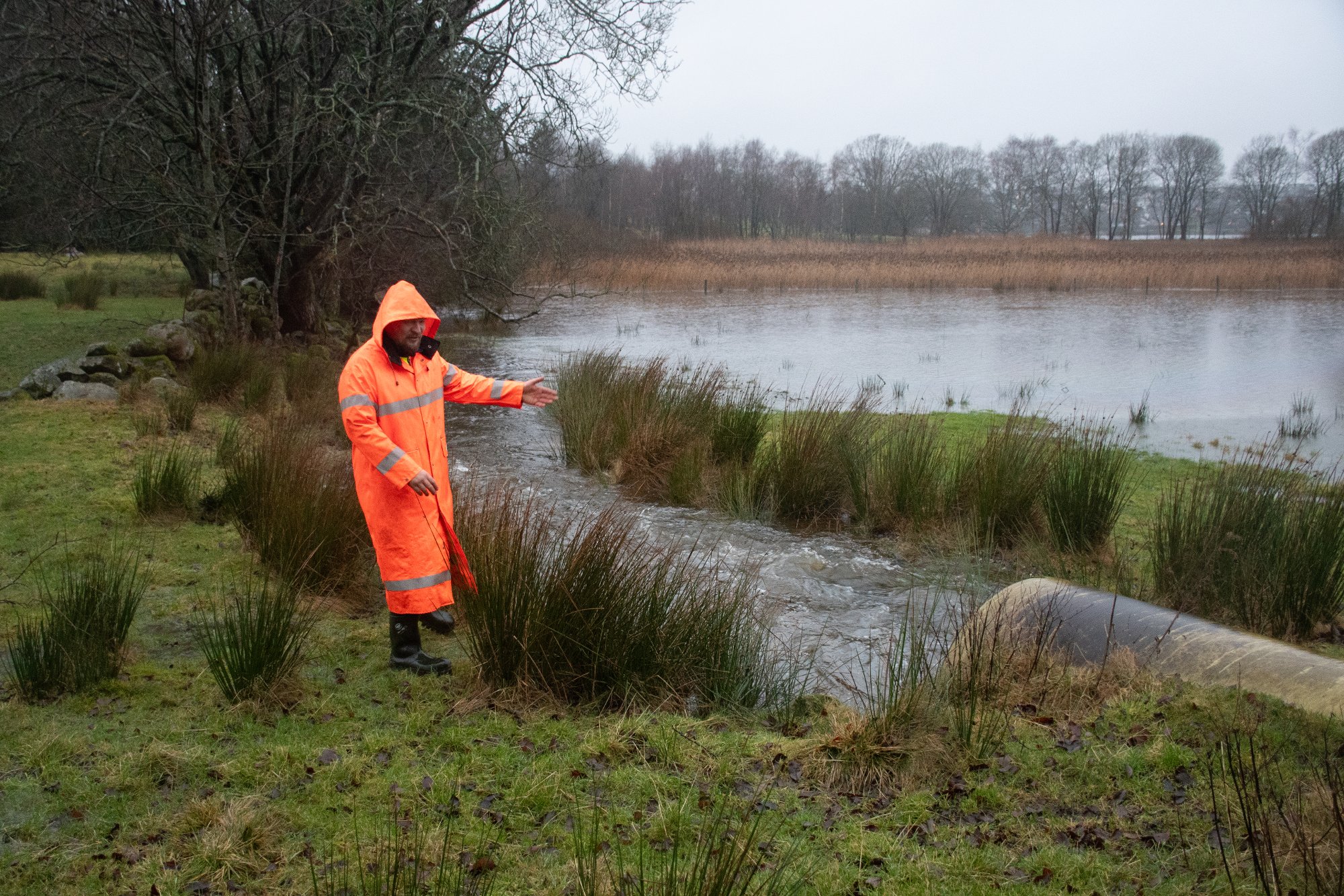 Stort utslipp i Stokki: – Ingen har tatt dette alvorlig