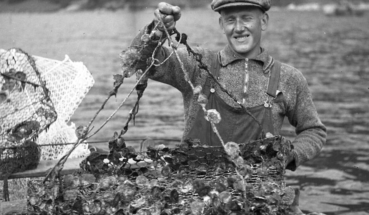 Østersen i Vågstrandsvågen