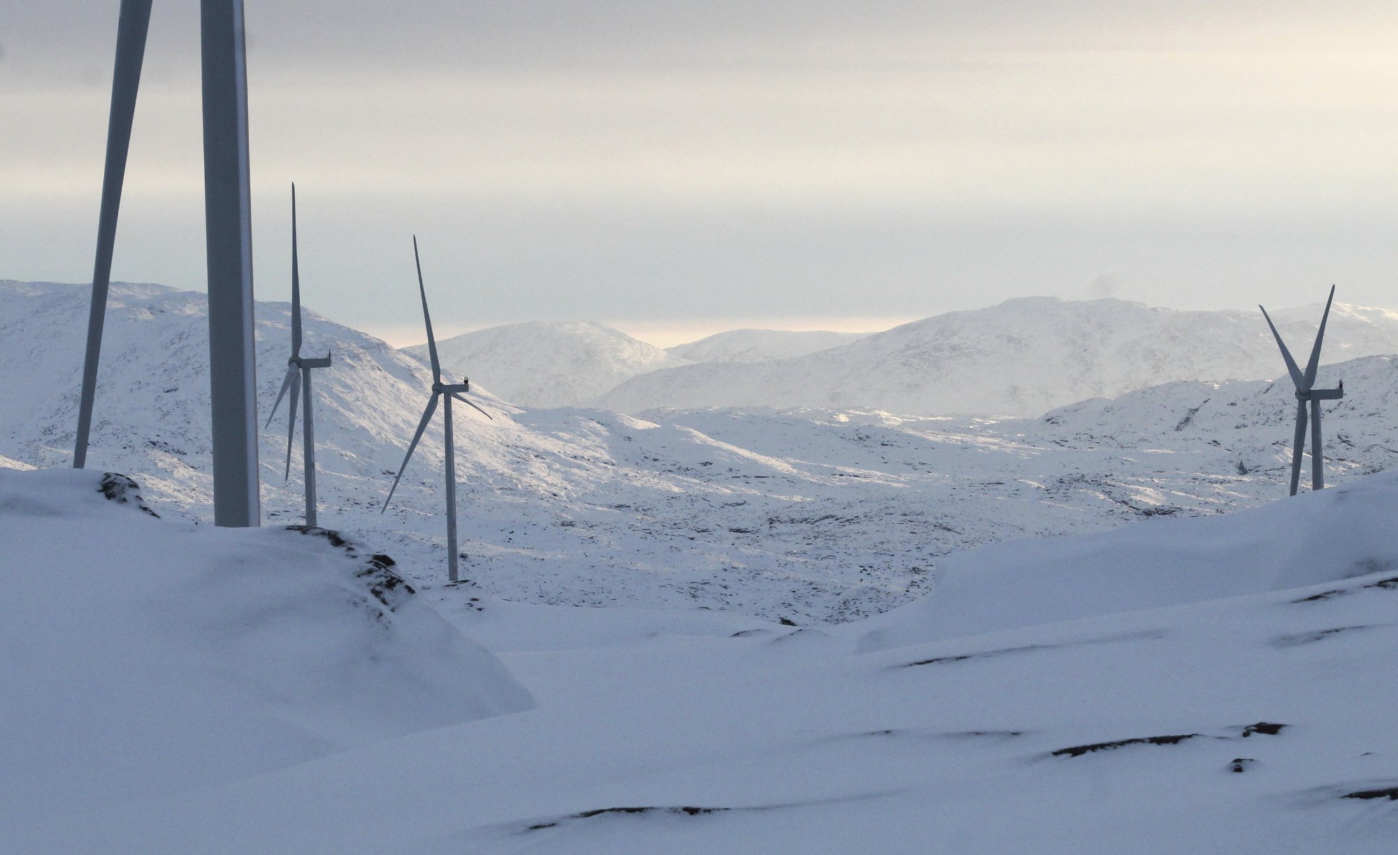 Revene inn i hønsegården i Hattfjelldal