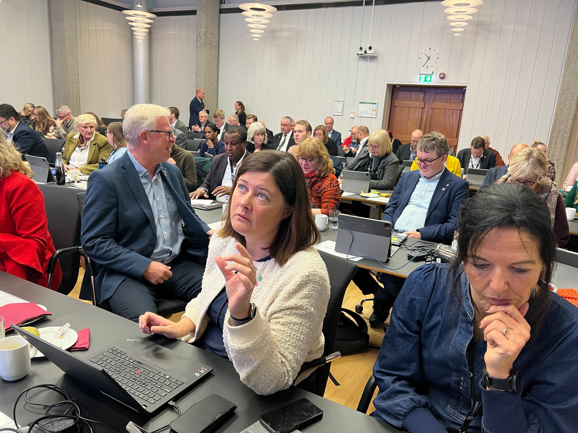 FERDIG MED BÅT: Iselin Vistekleiven og flertallet i fylkestinget avslutter arbeidet med hurtigbåt på Mjøsa.