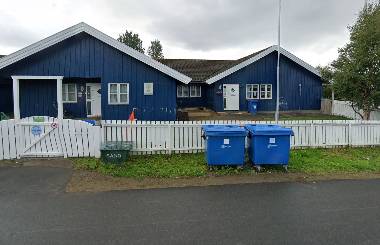 Influensa og omgangssyke herjer: 40 barn i én barnehage borte