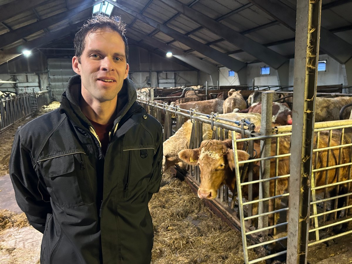 Veterinærkrisen avblåst: Disse tre skal passe på dyrene dine