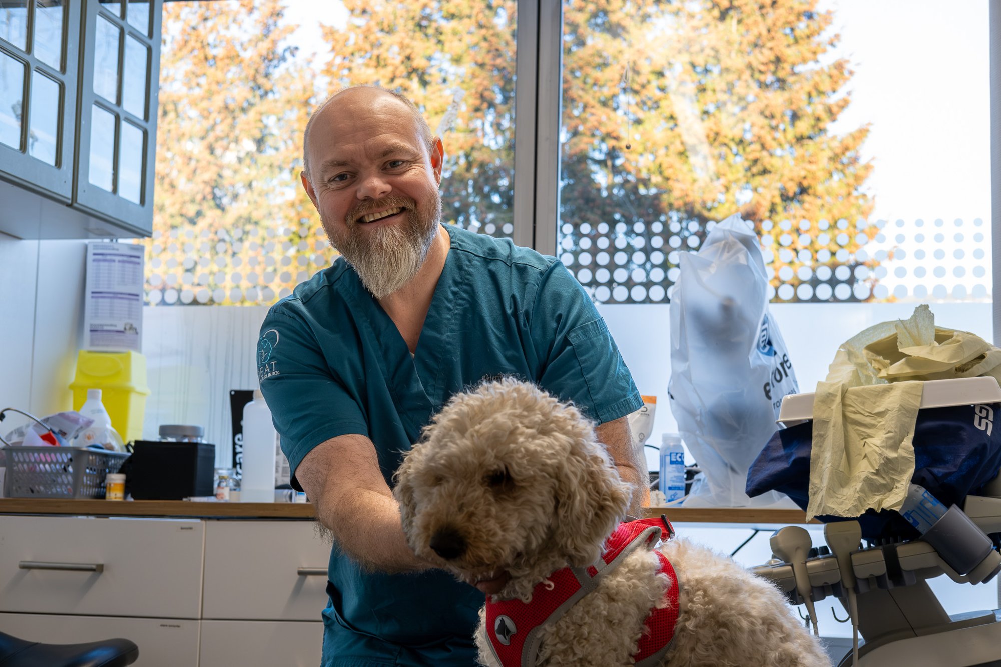 Dette er trygt for dyra dine i jula: – Holder med en teskje