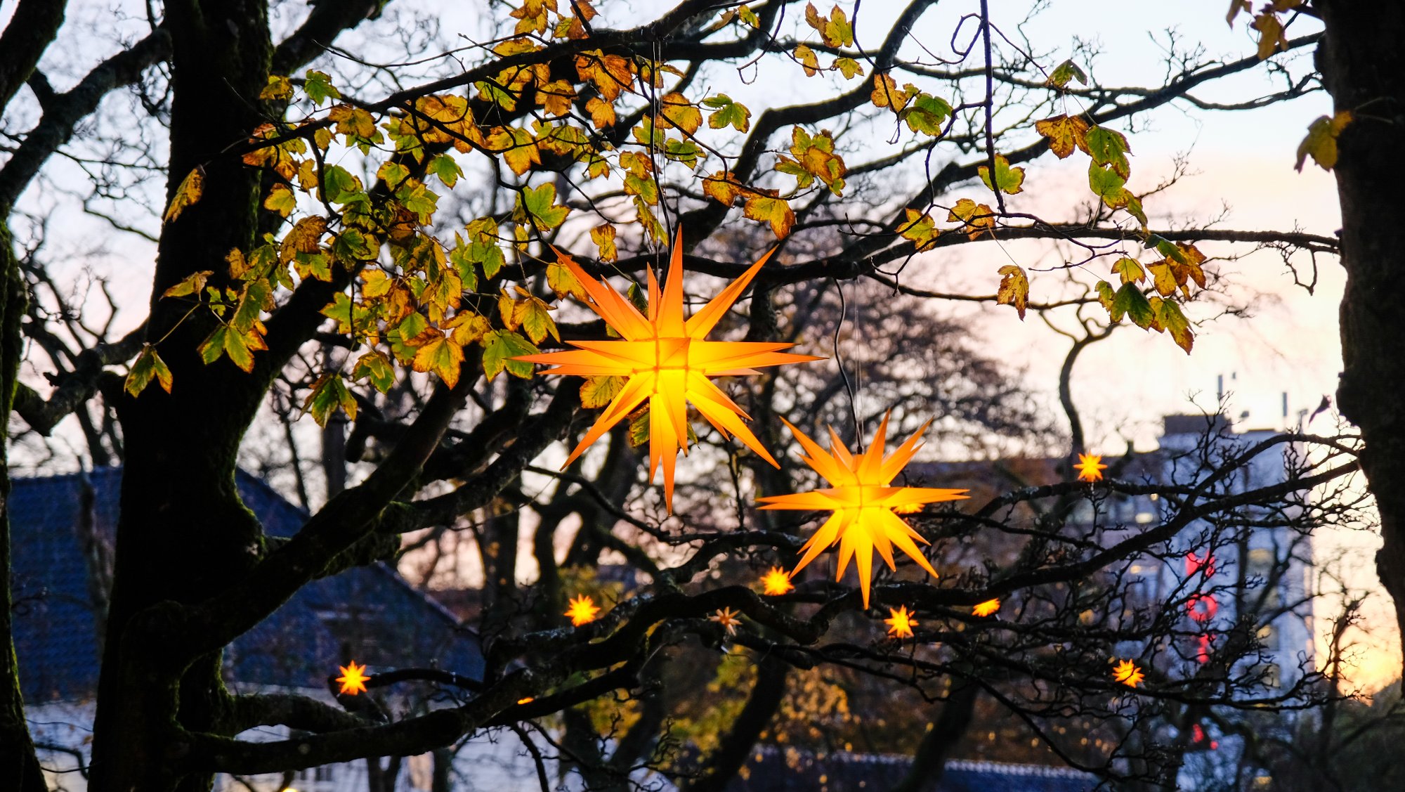 Sparer du på julestrømmen med Norgespris? Dette er selskapets prognoser
