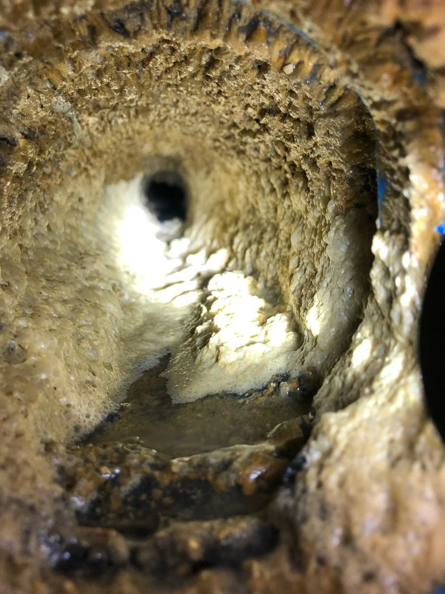 – Vi ser alt mulig som kastes