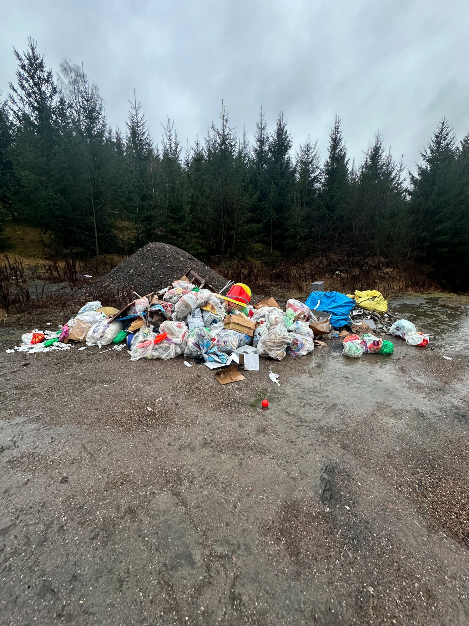 Bestilte søppeltømming: Endte hos Thomas (28)