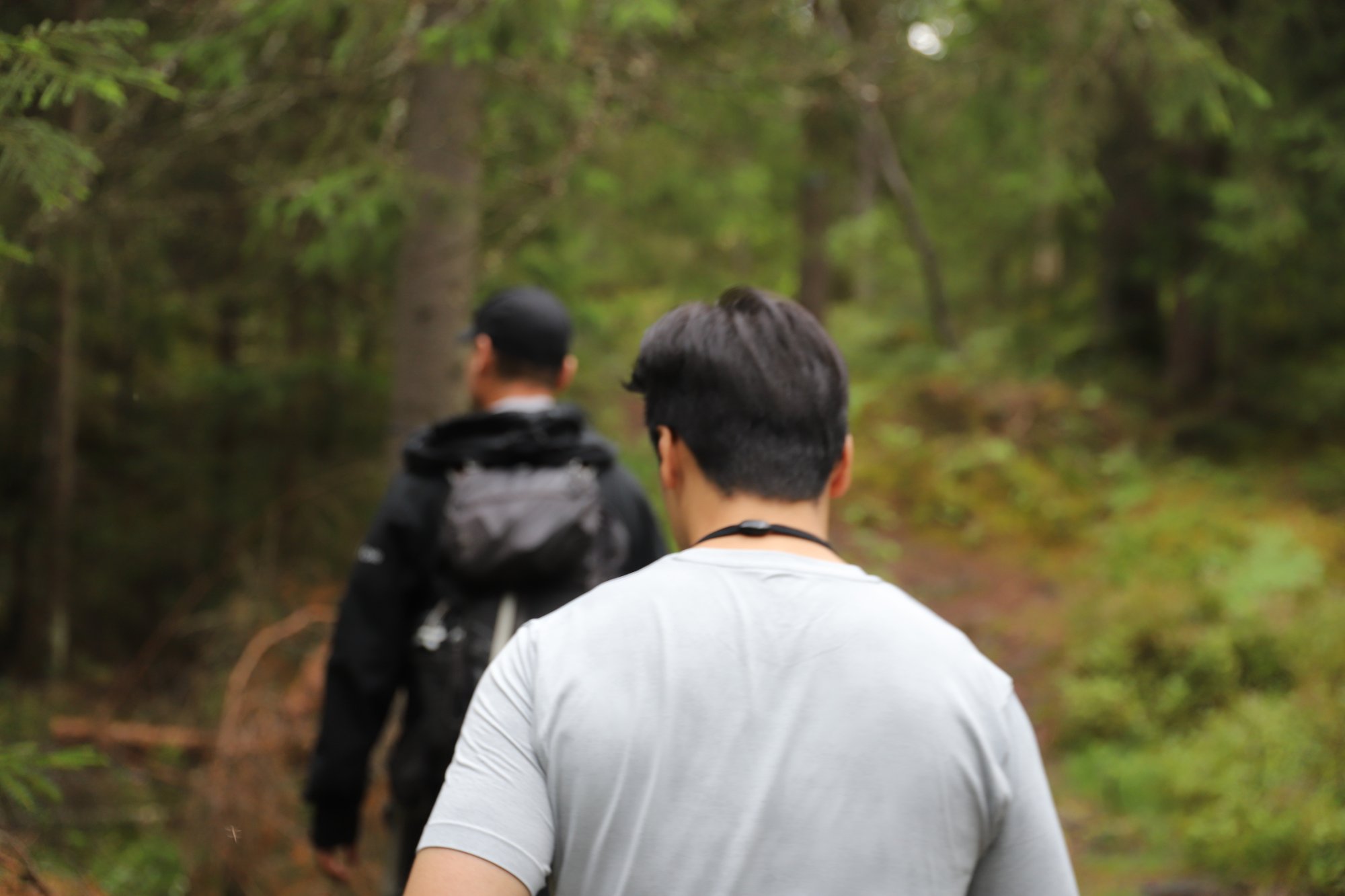 Seks hundeeiere anmeldt – flere har fått advarsel 