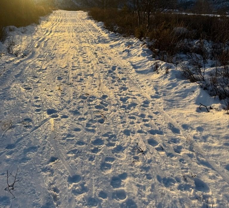 Nå har Anette fått nok: – Jeg er mer enn fortvilet