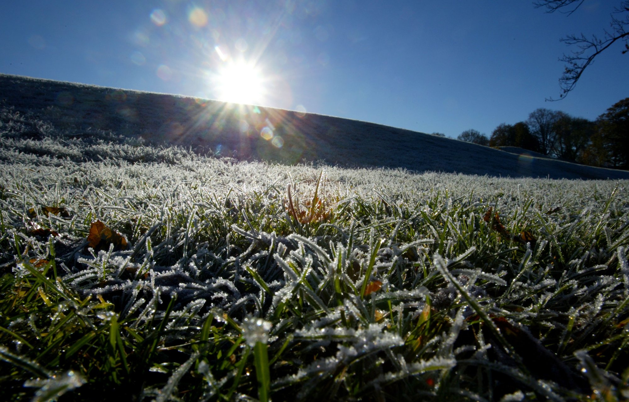 Det blir ei lys jul: – God timing