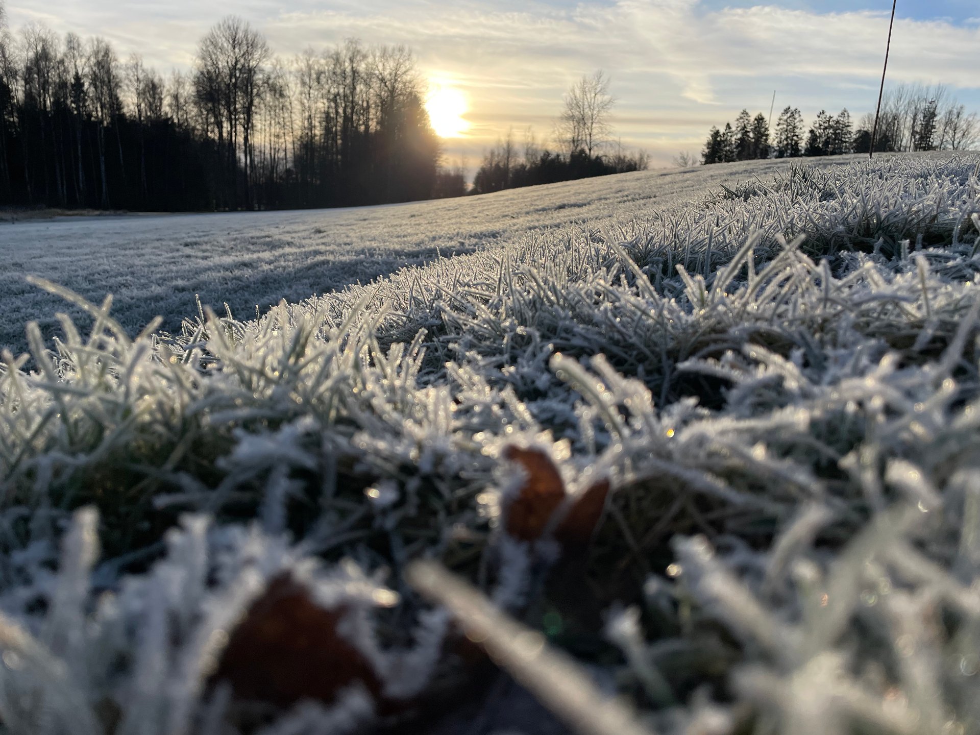 Ikke helt hvit jul, men nesten … 