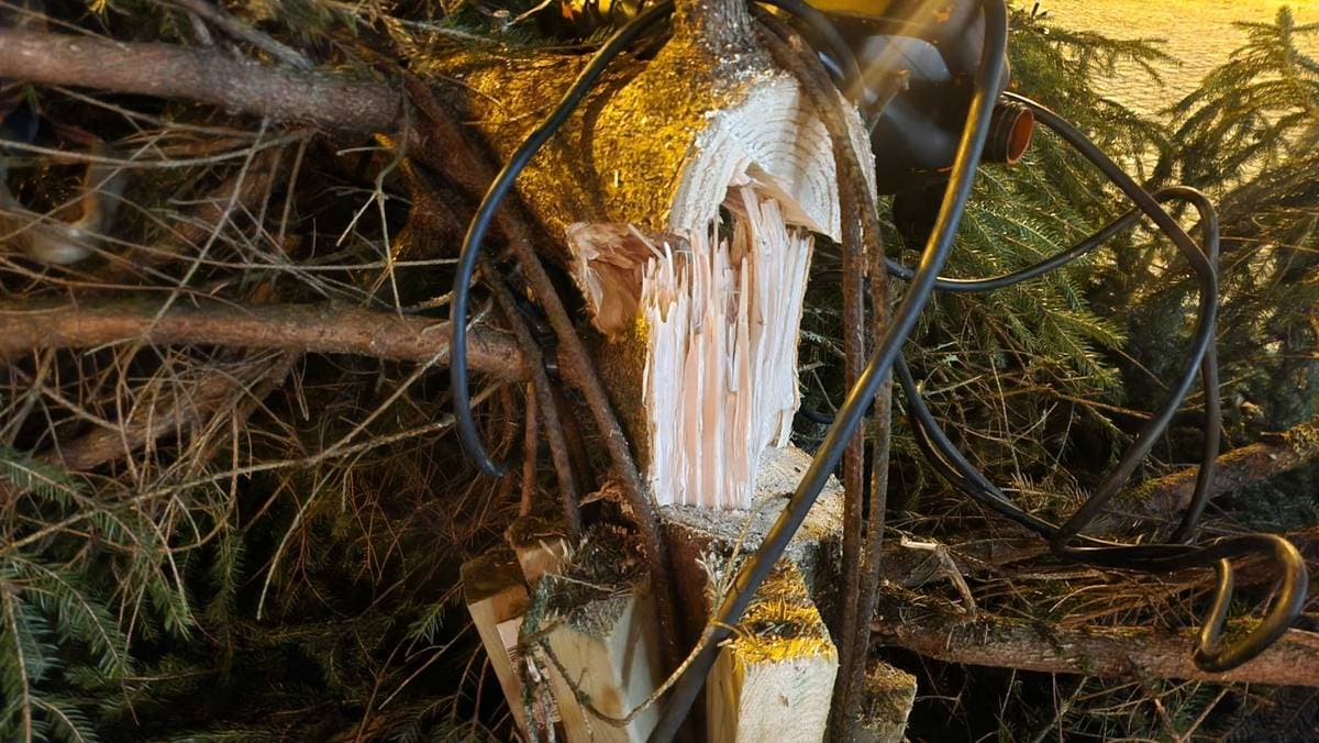 Juletreet i sentrum saget ned to ganger i år: – Nesten ikke til å tro