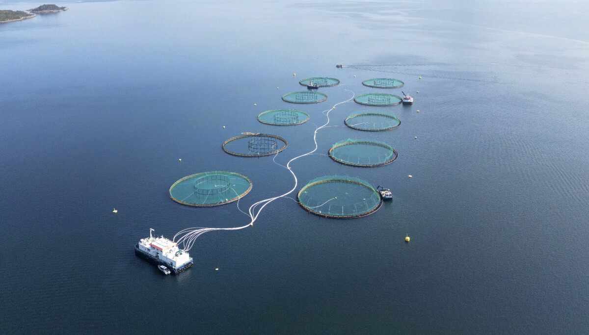 Bare en brøkdel av ventede inntekter