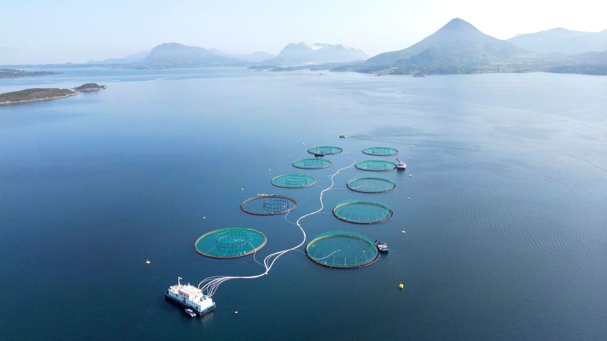 Dovrebanen stengt etter skred