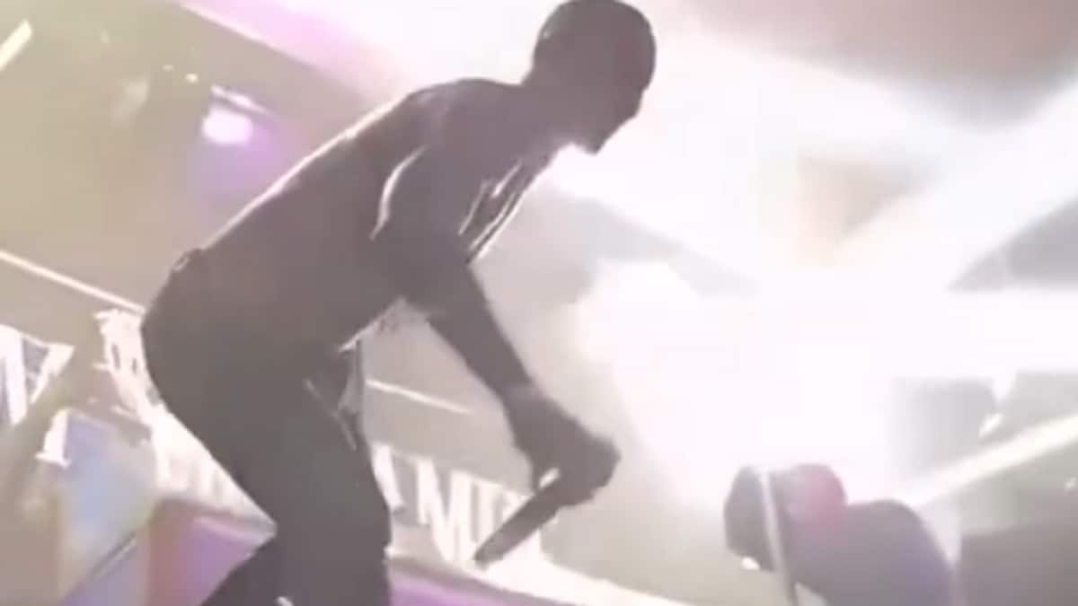 Kamelen frikjent etter stagediving – må likevel betale erstatning