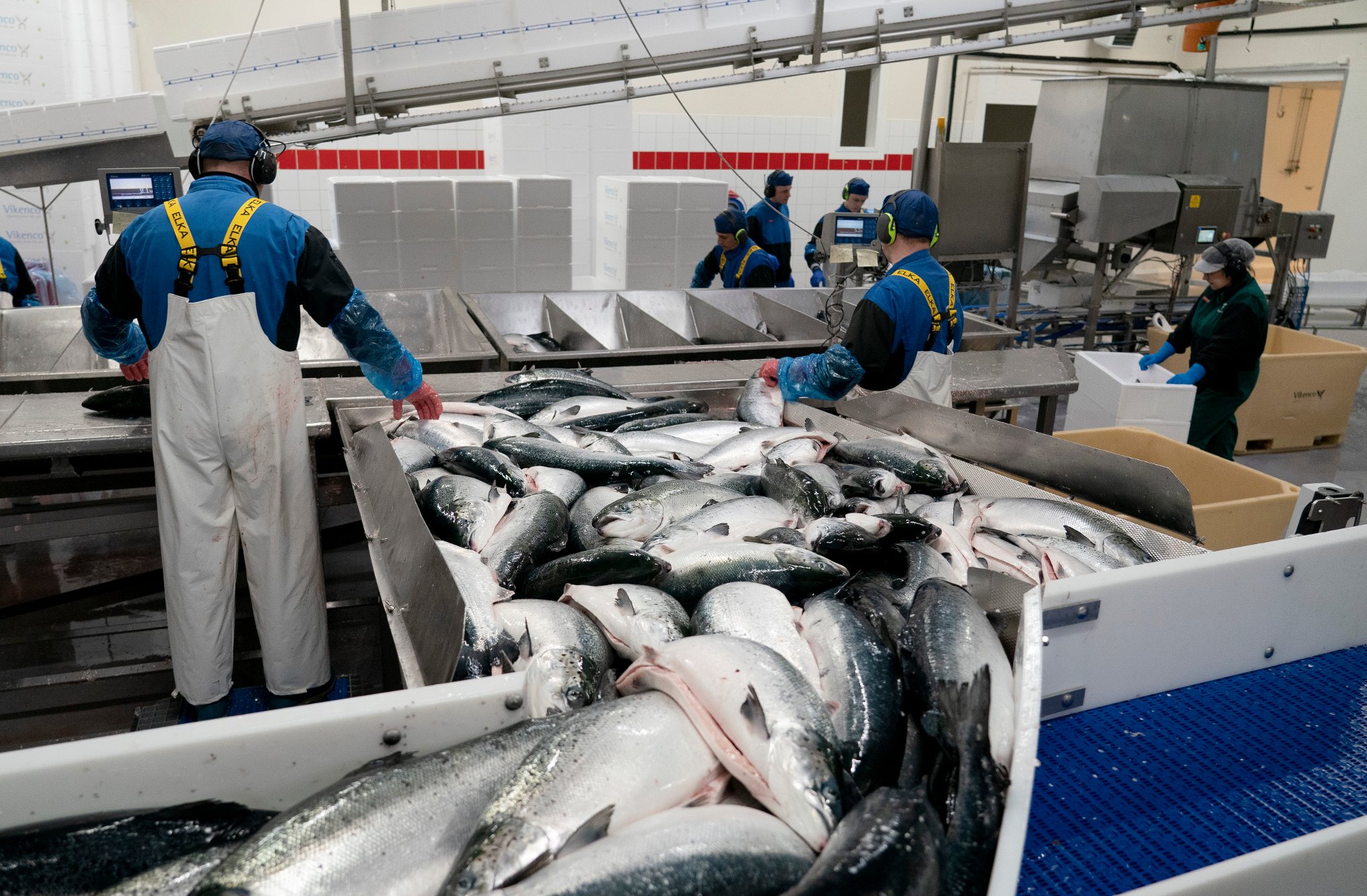 Sjømat er også trygghet og beredskap