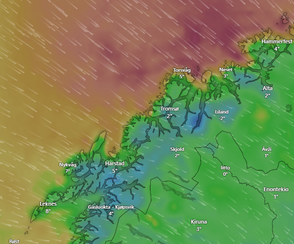 Varmeste julaften på 10 år: – Svært uvanlig
