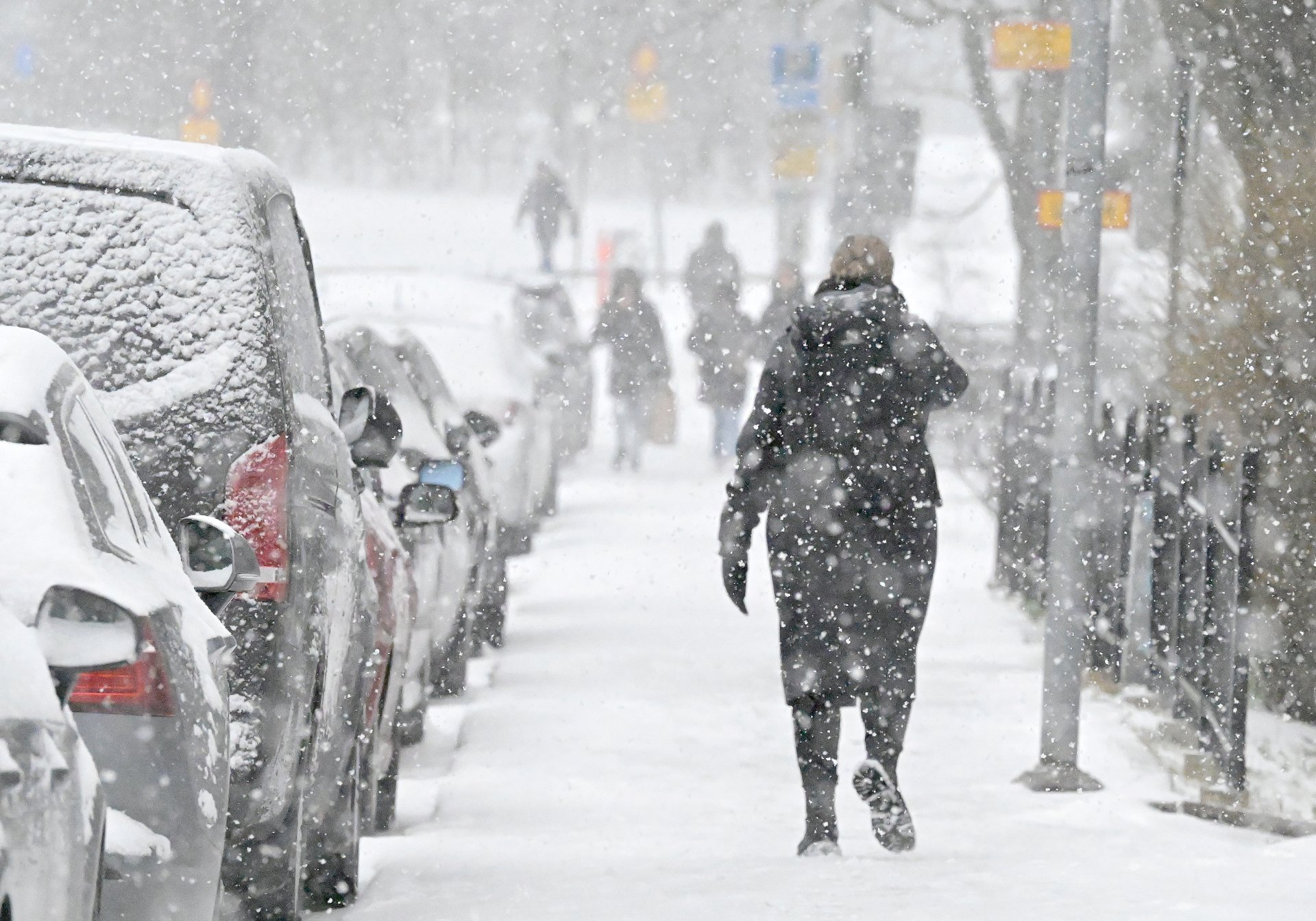 «Halve vinteren» har forsvunnet