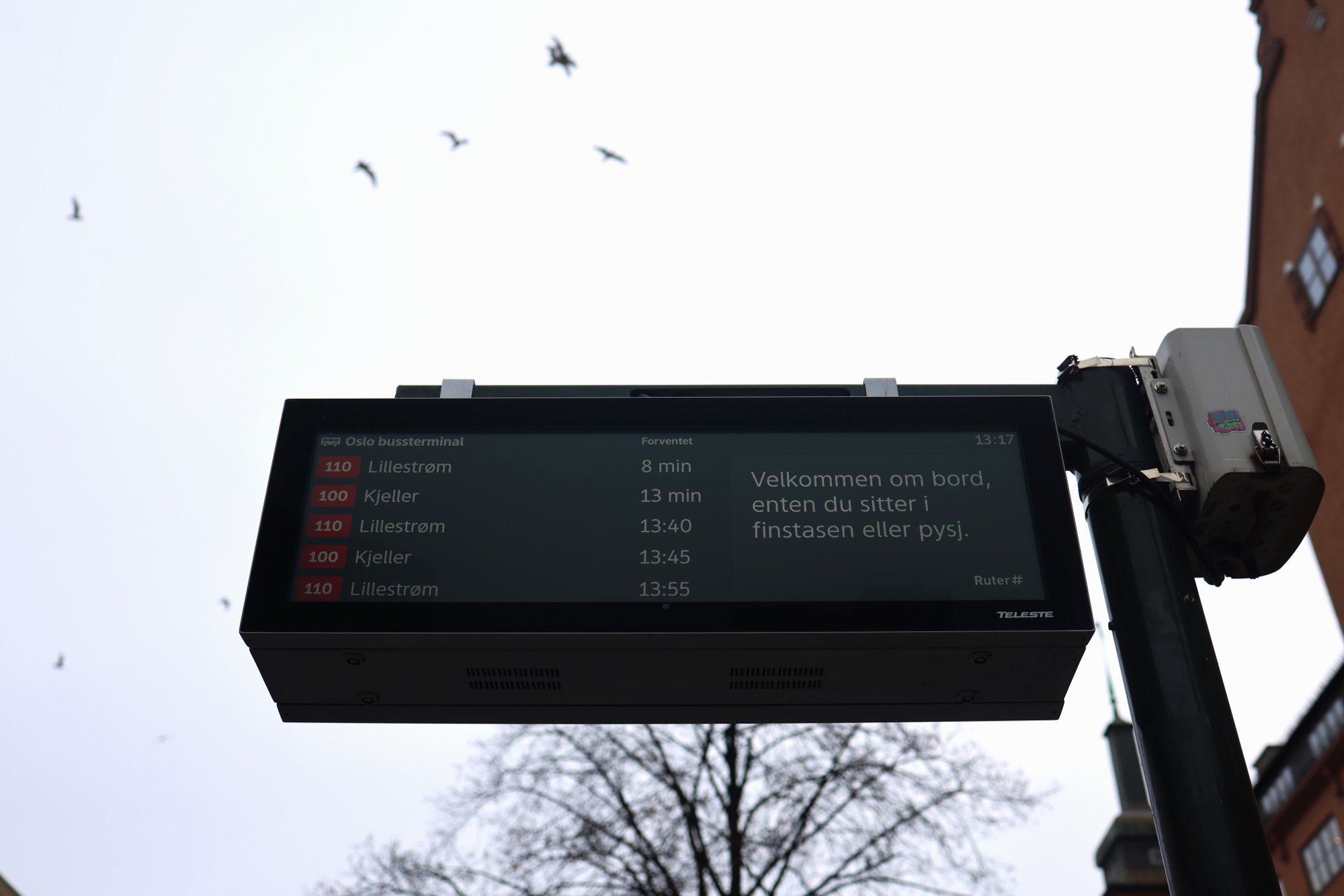 Ruter-grepet hylles på sosiale medier: – Får en til å smile litt ekstra