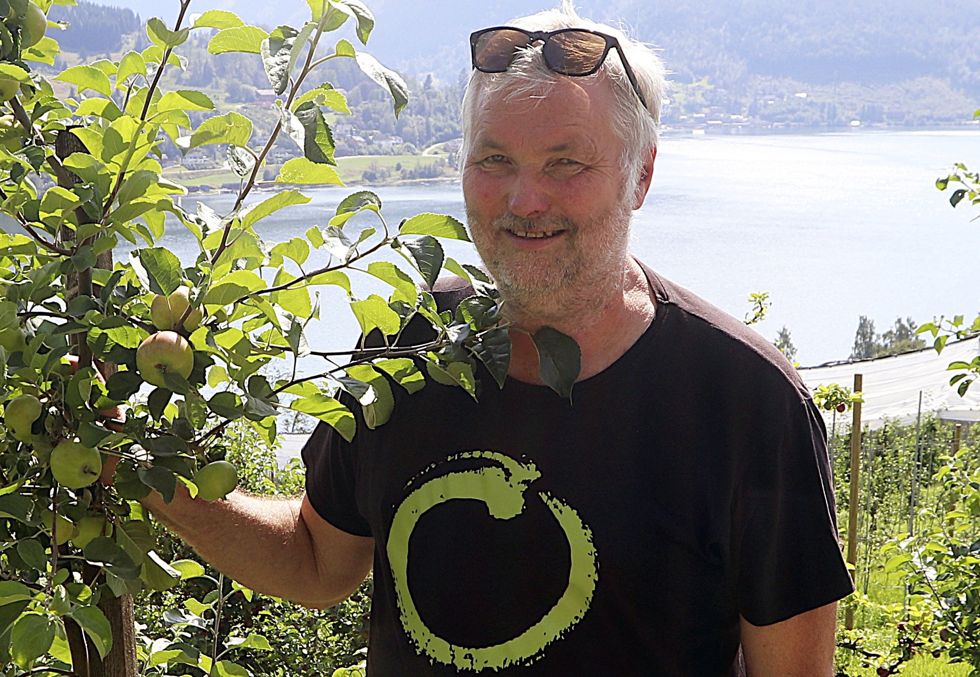 Sider frå Ulvik til topps i Europa: – Den beste sideren er enno ikkje laga