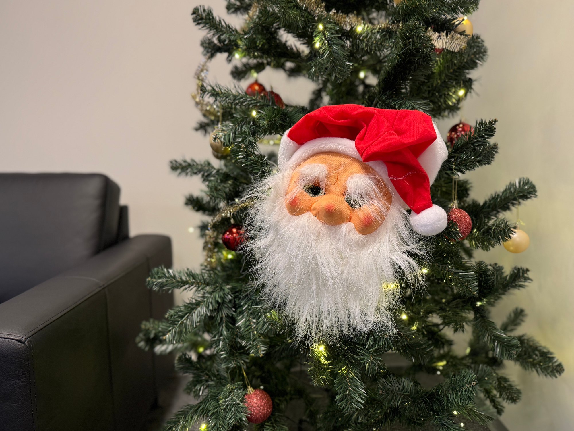 AVSLØRING: Se hvem som skjulte seg bak siste maske og hvem som gjettet riktig