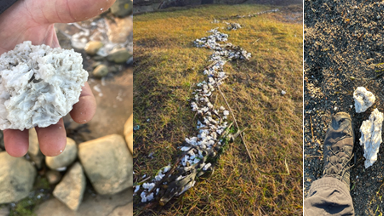 Oppfordrer turgåere til å plukke voks fra strendene i jula