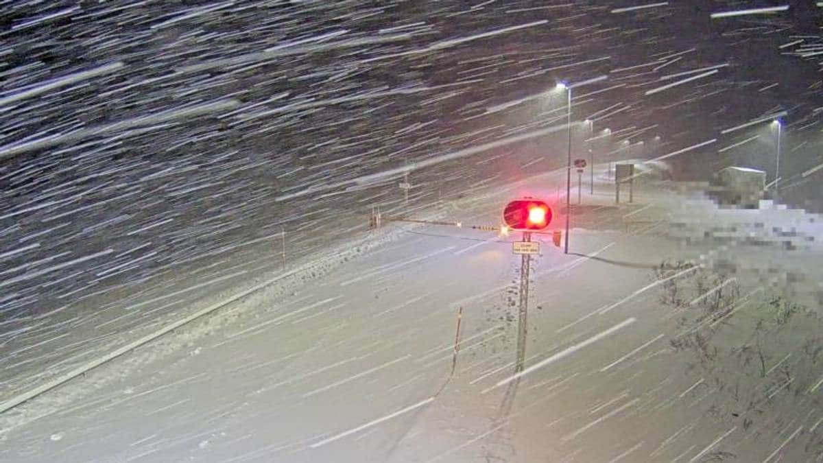 Vakna av brak – tregrein trefte bilen