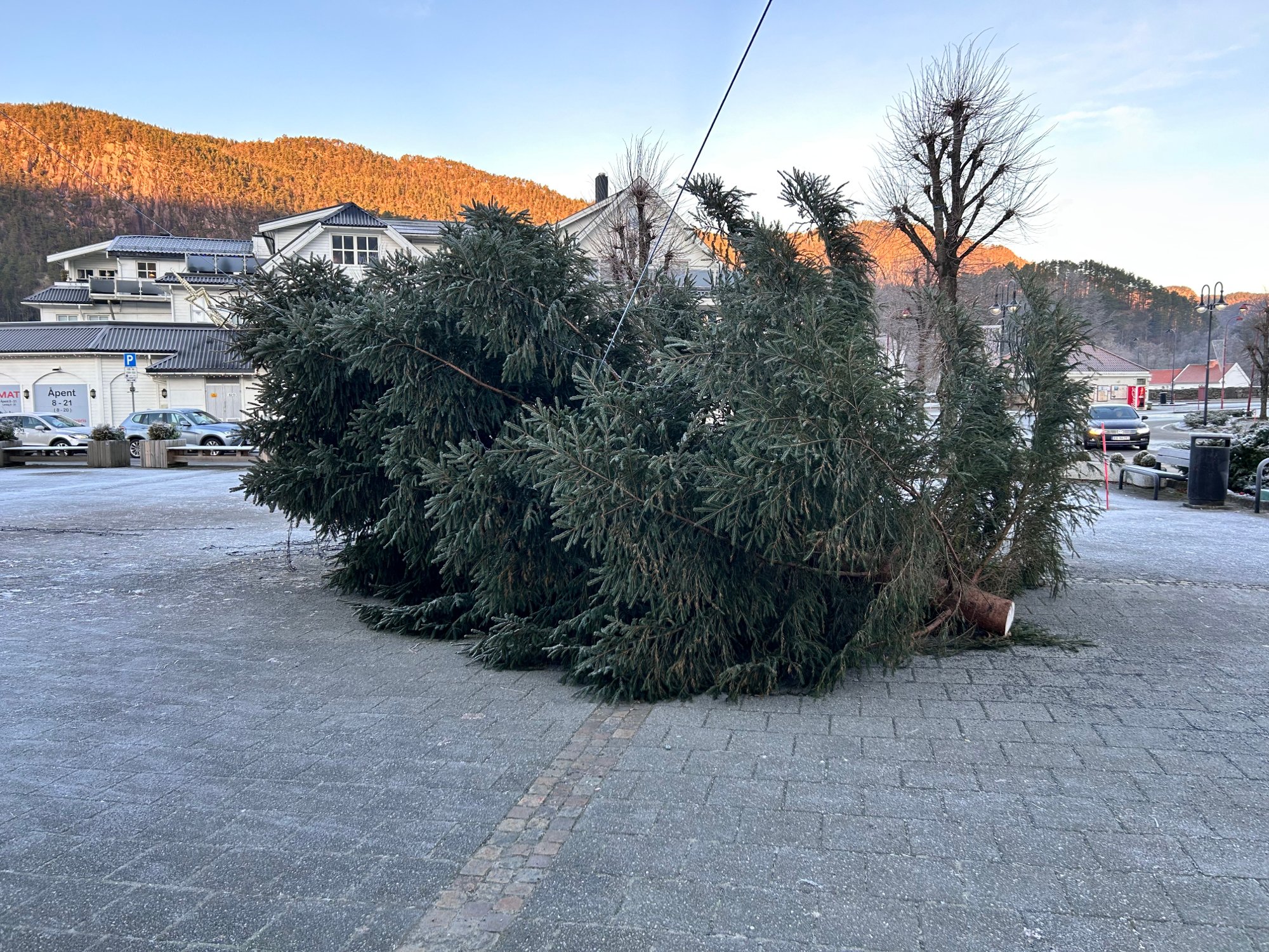 Nå er juletreet i Liknes felt