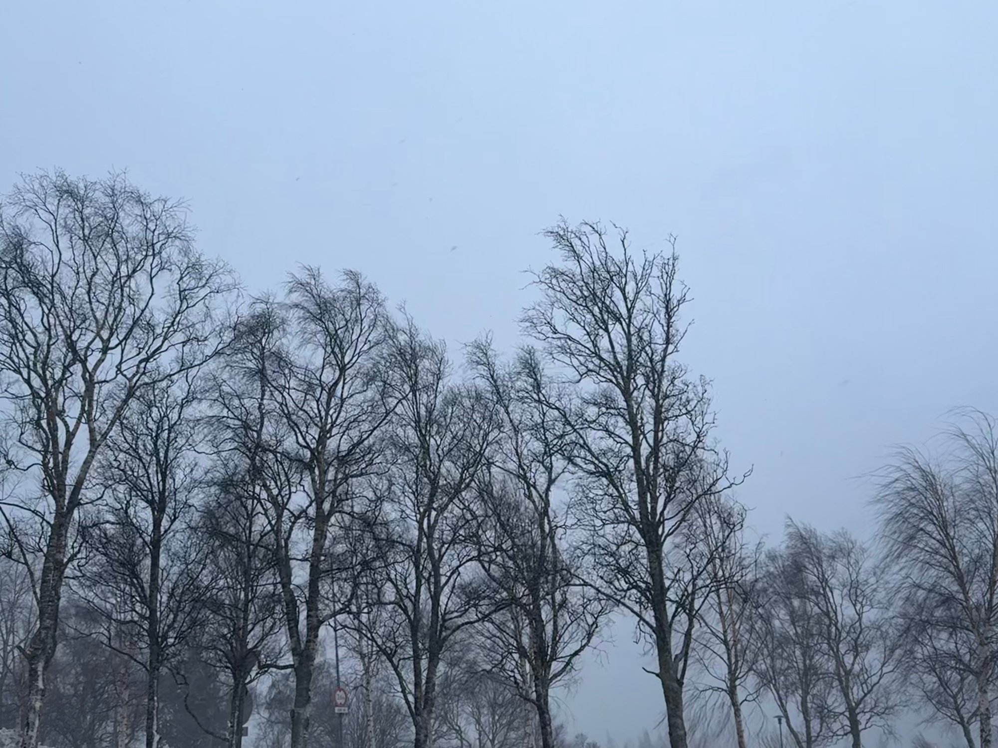 Farevarselet nedjusteres på Helgeland: – Det er litt uvanlig at vindkastene er så kraftige 