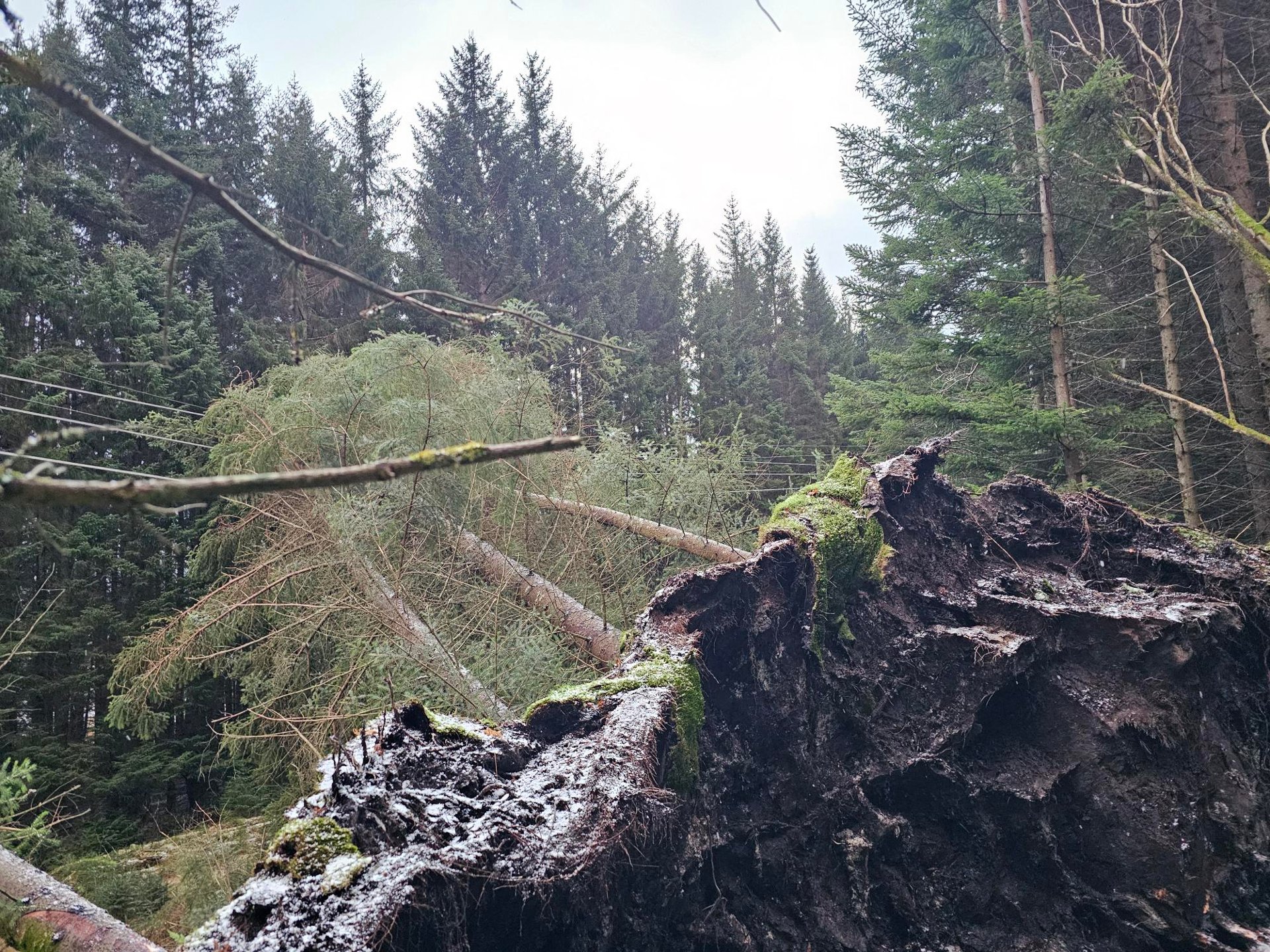 OPPDATERT: Antall strømløse er nå kraftig redusert – rundt 4.700 fortsatt uten strøm