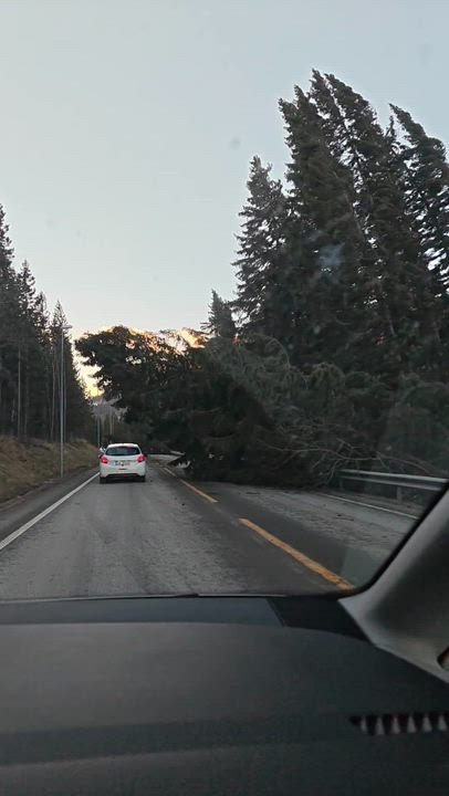 Her henger treet over E6