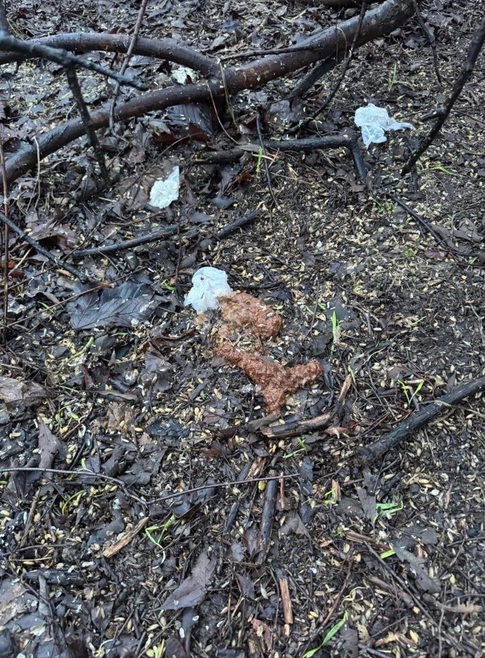 Reagerer på avføring: – Jeg blir rett og slett forbanna