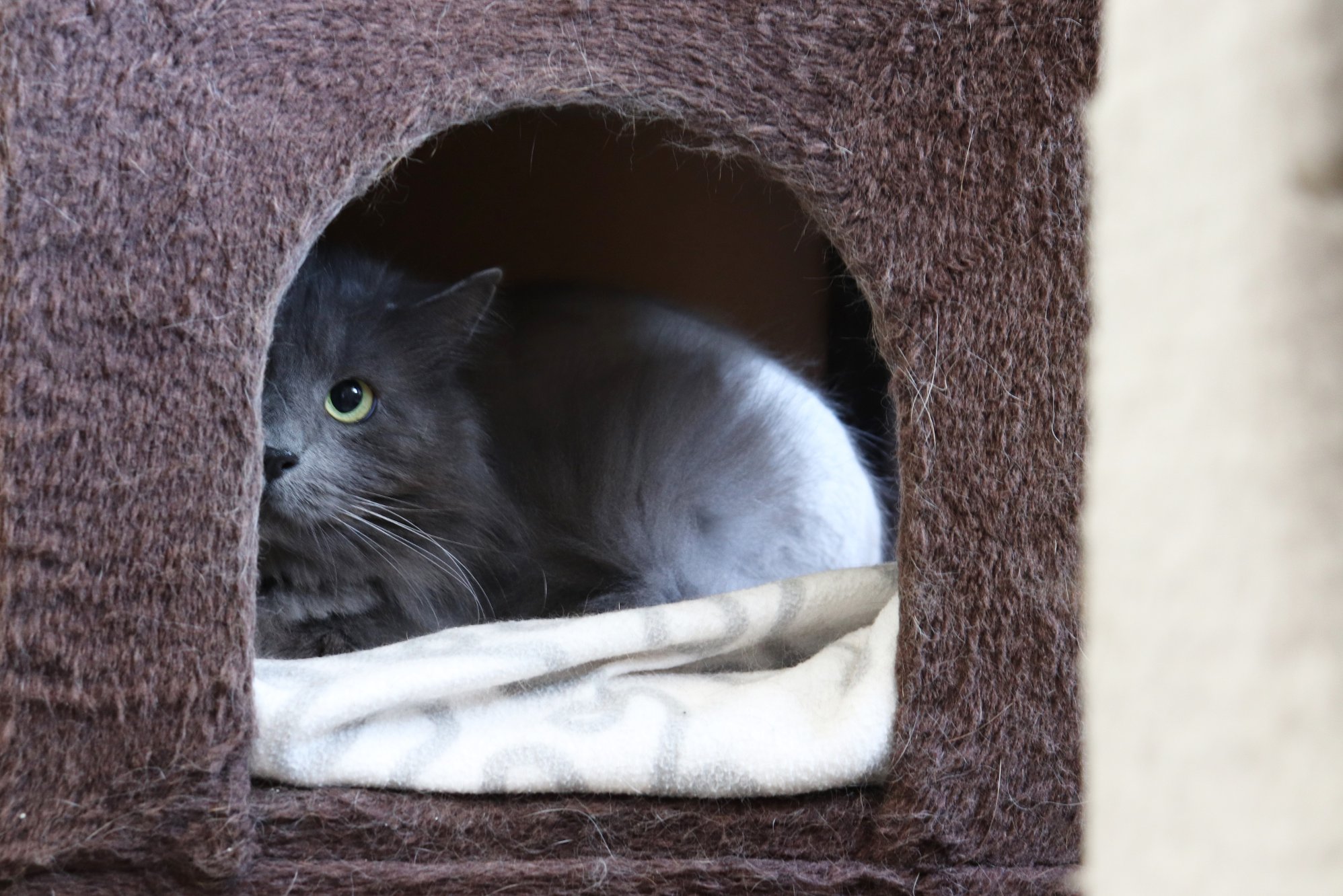 Undersøkelse: Halvparten vil forby fyrverkeri