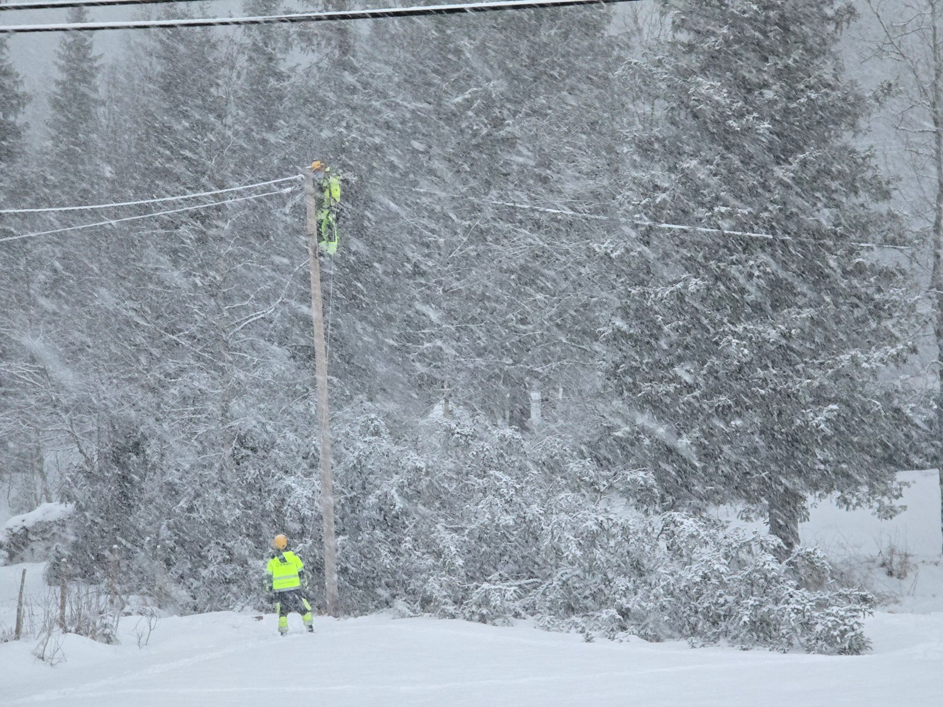 Helgas uvær koster Linea minst 50 millioner kroner