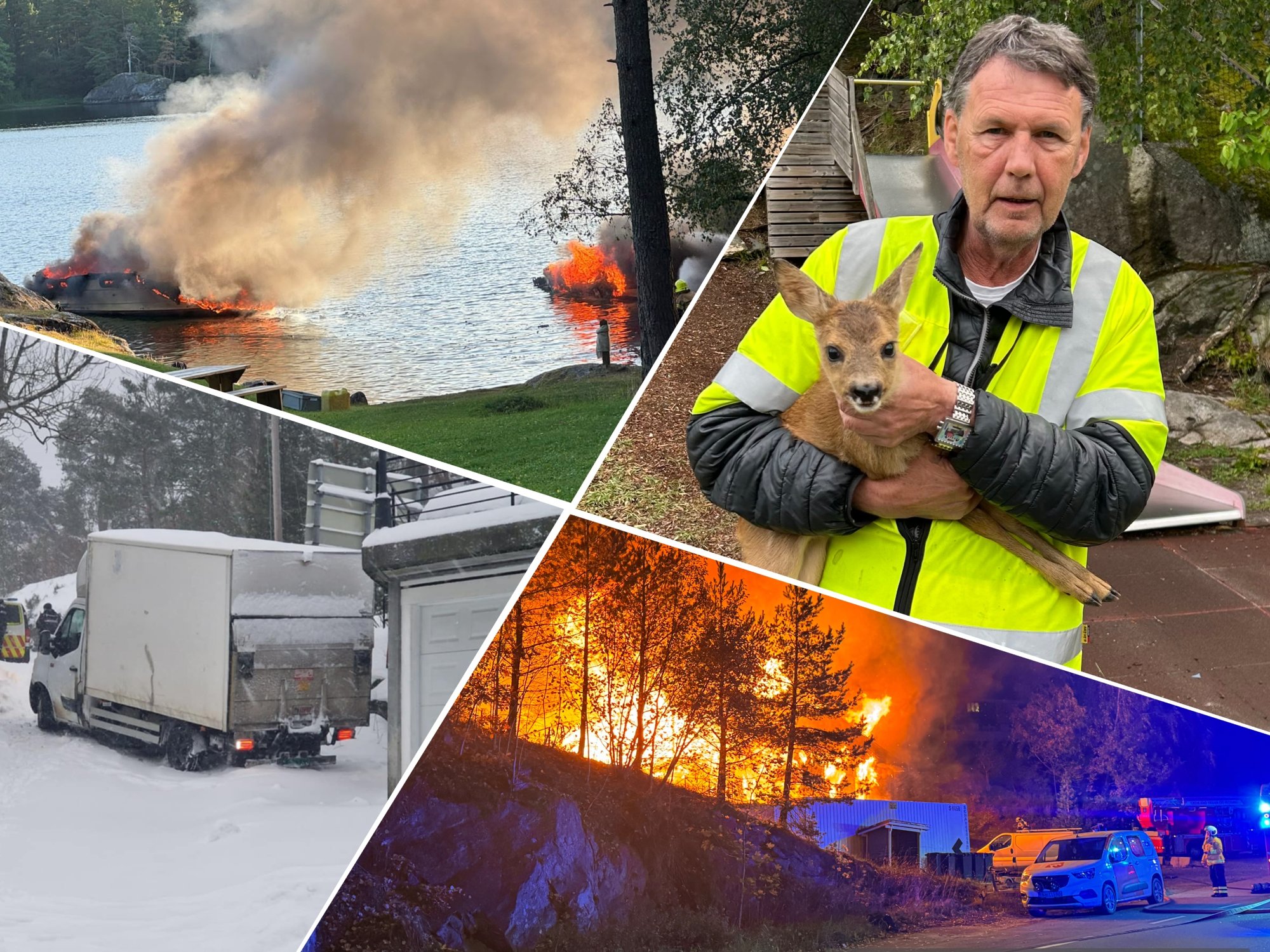 Årskavalkade: Disse videoene ble mest sett i 2025